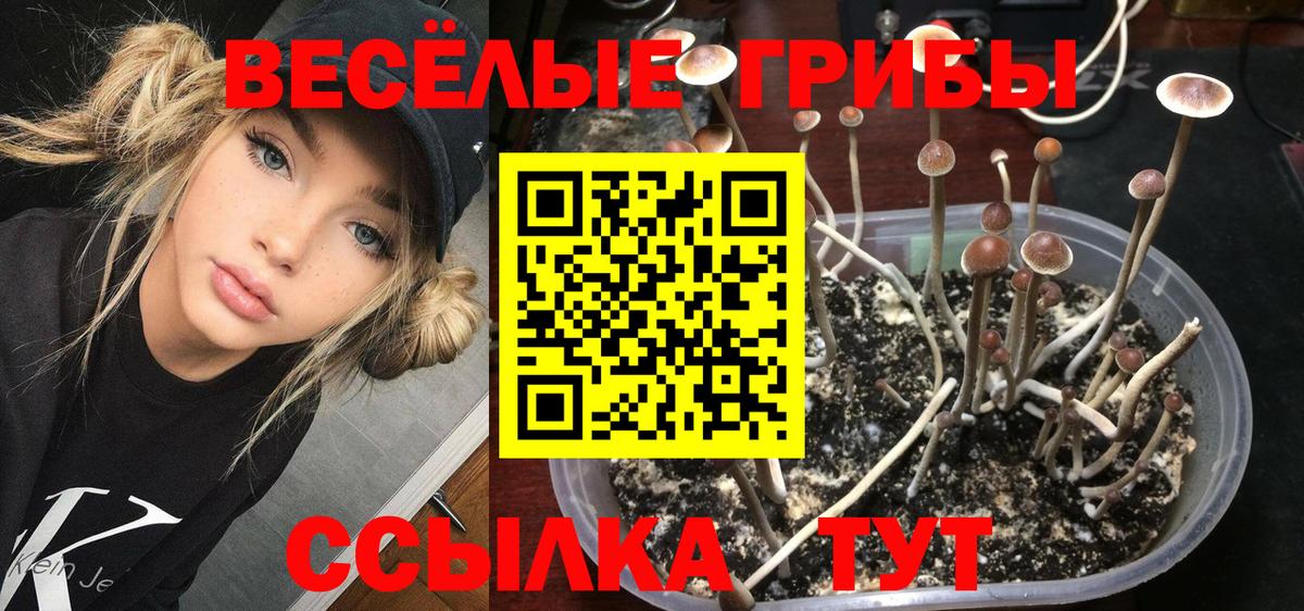 Донской  Псилоцибиновые грибы Cubensis  Псилоцибиновые грибы Magic Shrooms  Вход с VPN 