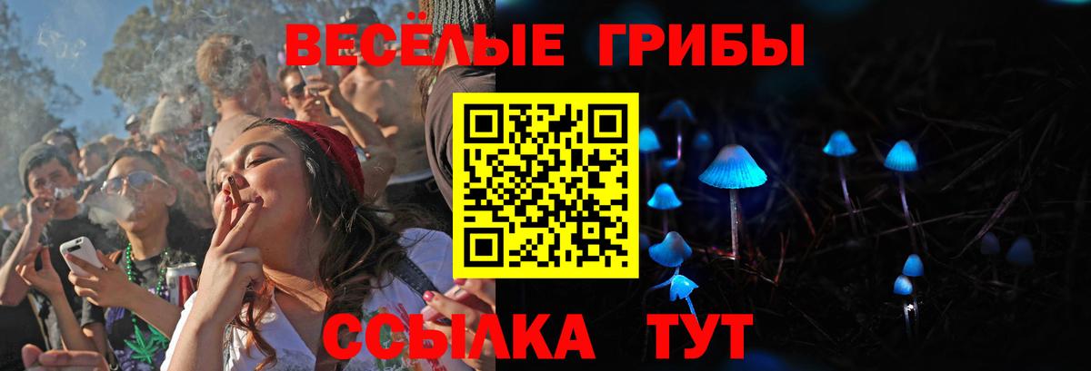 Псилоцибиновые грибы мухоморы Донской